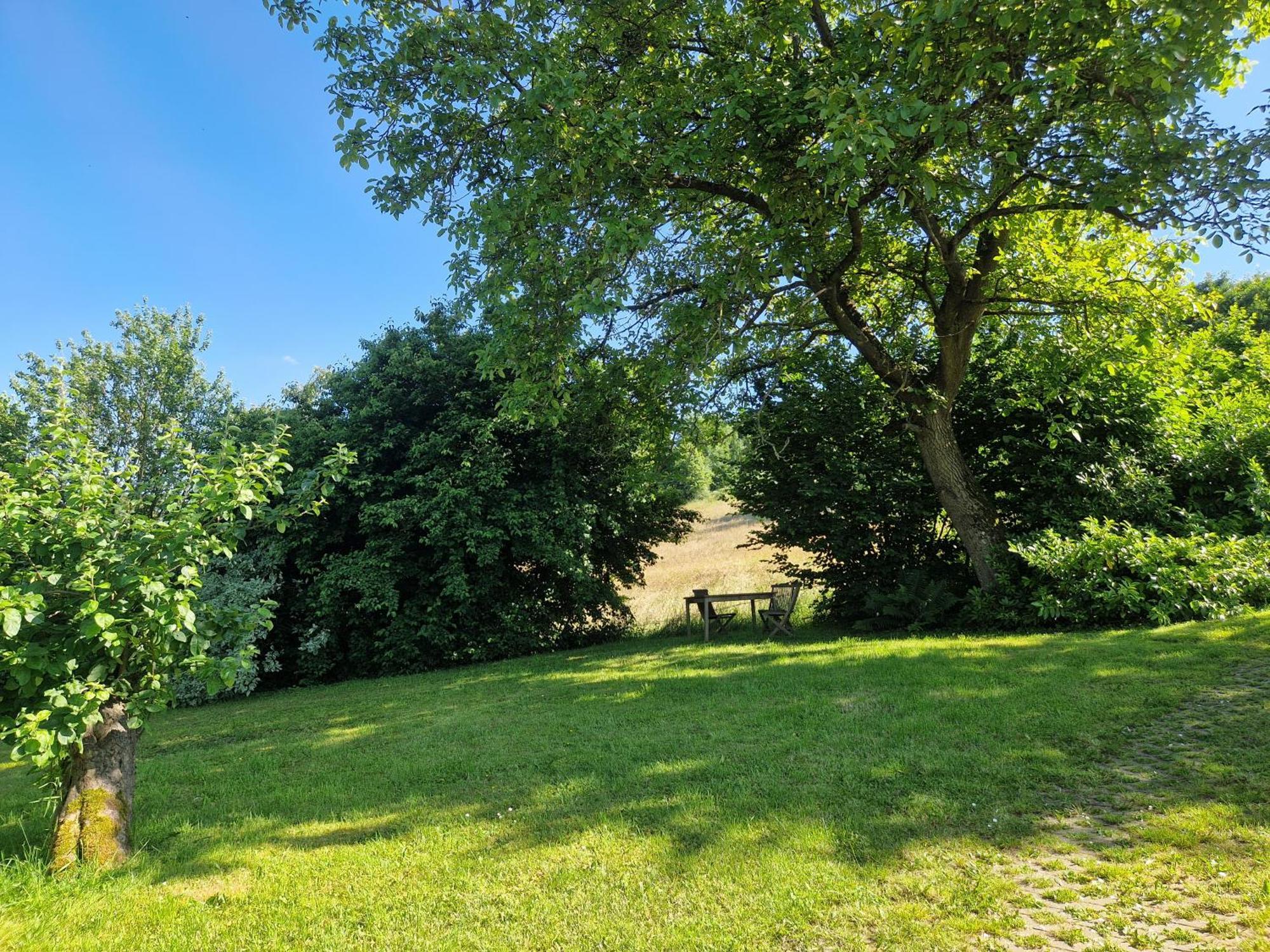 Ferienhaus Berghausen Am Hennesee 梅舍德 外观 照片